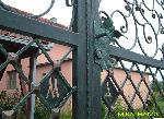 Wrought Iron Belgrade - Gates and fences_71